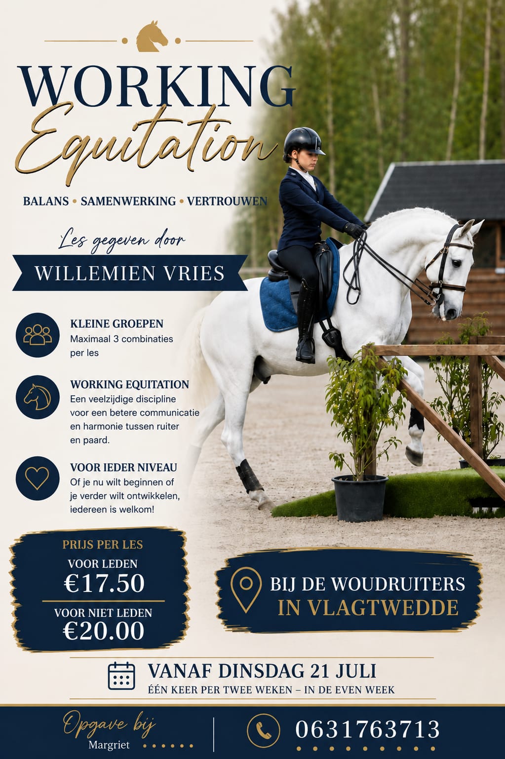 Working Equitation